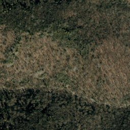 Satellite imagery of Fork Ridge, US