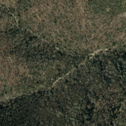 Satellite imagery of Fork Ridge, US