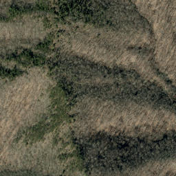 Satellite imagery of Singecat Ridge, US