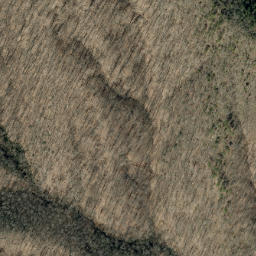 Satellite imagery of Singecat Ridge, US