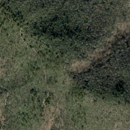 Satellite imagery of Betsy Creek, US