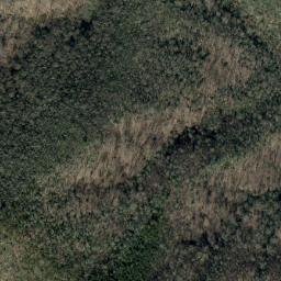 Satellite imagery of Betsy Creek, US