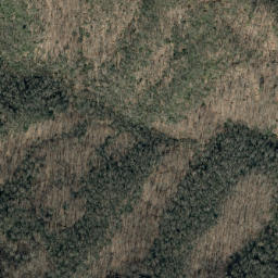 Satellite imagery of Betsy Creek, US