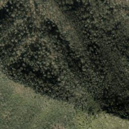 Satellite imagery of Cammerer Ridge, US