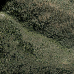 Satellite imagery of Cammerer Ridge, US