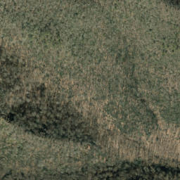 Satellite imagery of Cammerer Ridge, US