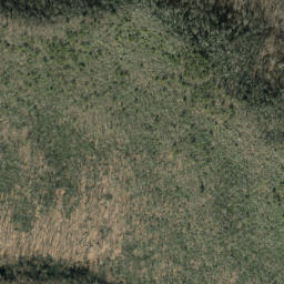 Satellite imagery of Cammerer Ridge, US