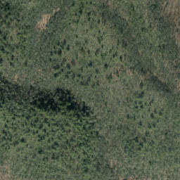 Satellite imagery of Buck Ridge, US
