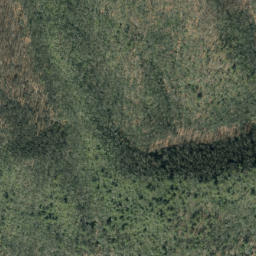 Satellite imagery of Buck Ridge, US
