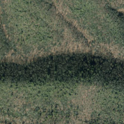 Satellite imagery of Buck Ridge, US