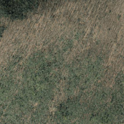 Satellite imagery of Hickory Ridge, US