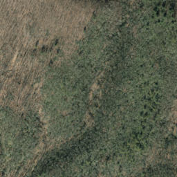 Satellite imagery of Hickory Ridge, US