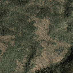 Satellite imagery of Brushy Ridge, US