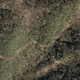 Satellite imagery of Big Andy Ridge, US
