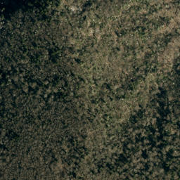 Satellite imagery of Bearwallow Stand Ridge, US