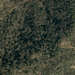 Satellite imagery of Bearwallow Stand Ridge, US