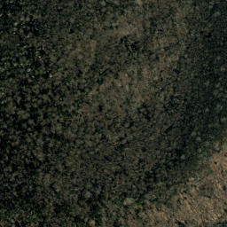 Satellite imagery of Fork Ridge, US