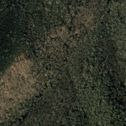 Satellite imagery of Fork Ridge, US