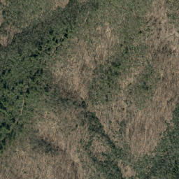 Satellite imagery of Betsy Creek, US