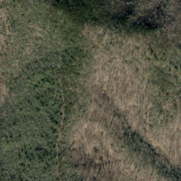 Satellite imagery of Betsy Creek, US