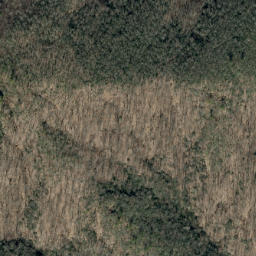 Satellite imagery of Betsy Creek, US