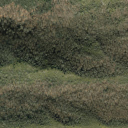 Satellite imagery of Cammerer Ridge, US