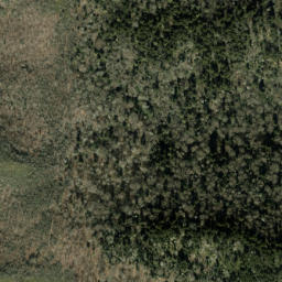 Satellite imagery of Cammerer Ridge, US