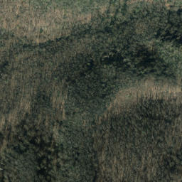 Satellite imagery of Buck Ridge, US