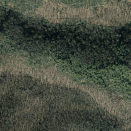 Satellite imagery of Buck Ridge, US