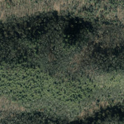 Satellite imagery of Buck Ridge, US