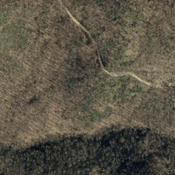 Satellite imagery of Big Andy Ridge, US
