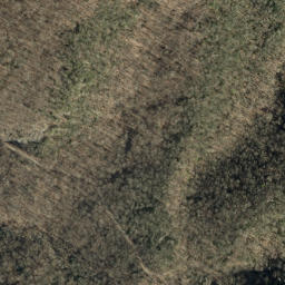Satellite imagery of Big Andy Ridge, US