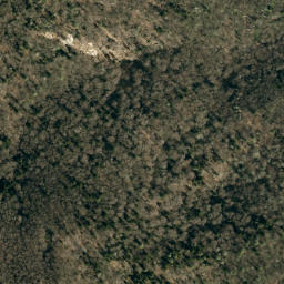 Satellite imagery of Bearwallow Stand Ridge, US