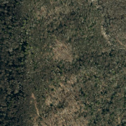Satellite imagery of Bear Ridge, US
