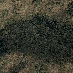 Satellite imagery of Wilson Ridge, US