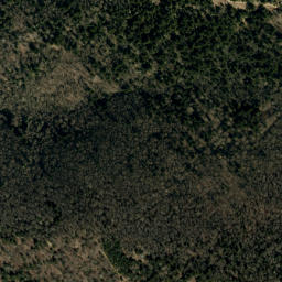 Satellite imagery of Wilson Ridge, US
