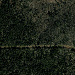 Satellite imagery of Higgins Bald, US