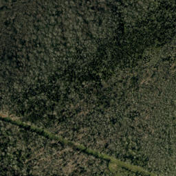 Satellite imagery of Higgins Bald, US