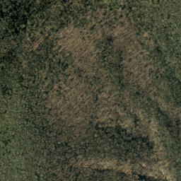 Satellite imagery of Higgins Bald, US