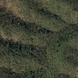 Satellite imagery of Big Ridge, US
