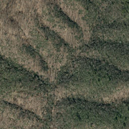 Satellite imagery of Betsy Creek, US