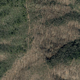 Satellite imagery of Betsy Creek, US