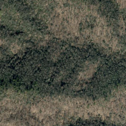 Satellite imagery of Betsy Creek, US