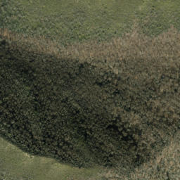 Satellite imagery of Cammerer Ridge, US