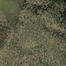 Satellite imagery of Cammerer Ridge, US