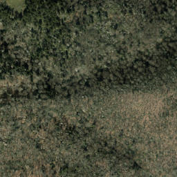 Satellite imagery of Cammerer Ridge, US