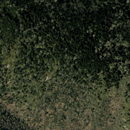 Satellite imagery of Higgins Bald, US