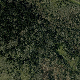Satellite imagery of Higgins Bald, US