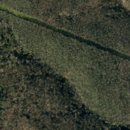Satellite imagery of Higgins Bald, US