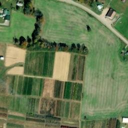 Satellite imagery of Ivy Bluff, US